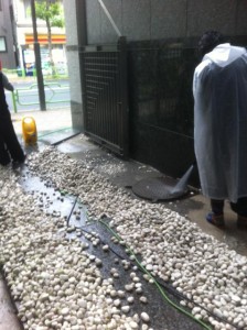 tamazyari1 球zyりせいそう