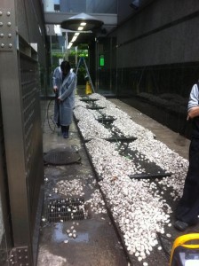 tamazyari3 玉砂利清掃